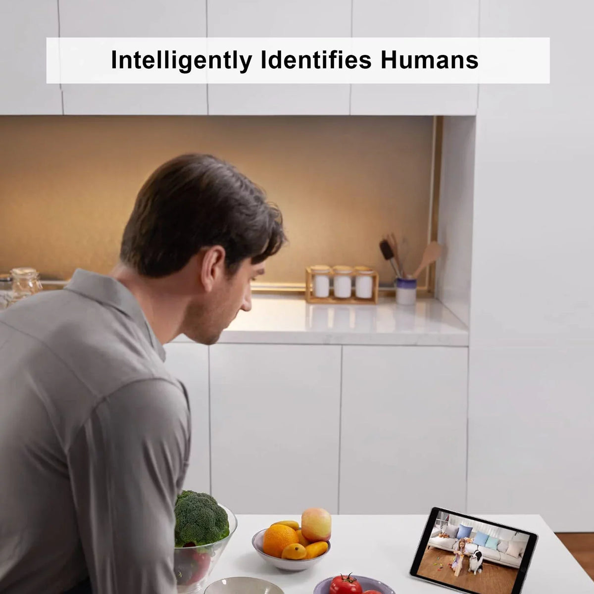 Wireless Security Camera For Home - Indoor, Night Vision, Activity Zones - Nozaya