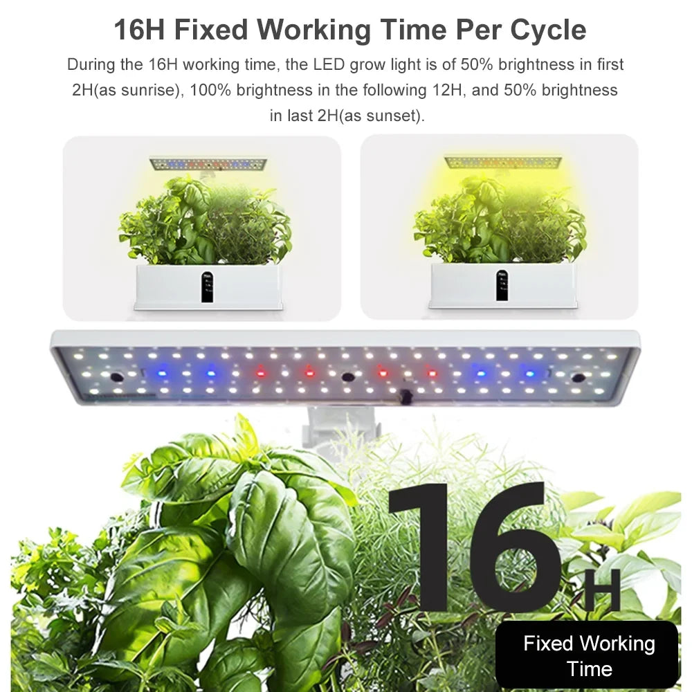 Pinnaco LED Hydroponic Indoor Garden Kit with Smart Timing and Adjustable Height – Perfect for Home, Office, and Kitchen