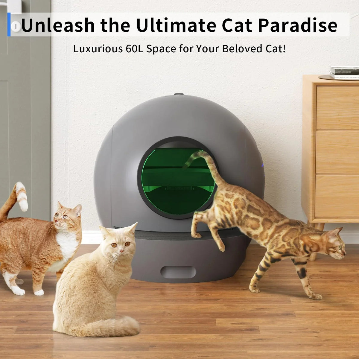 ELS PET Self Cleaning Cat Litter Box, APP Control Automatic Cat Litter Box for Multiple Cats Gift