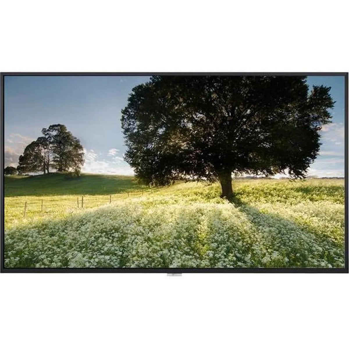 3840 x 2160 HDMI LED LCD Monitor - TAA, DP DVI Speaker 24 x 7 - Landscape & Portrait - 3 Year. 65 in