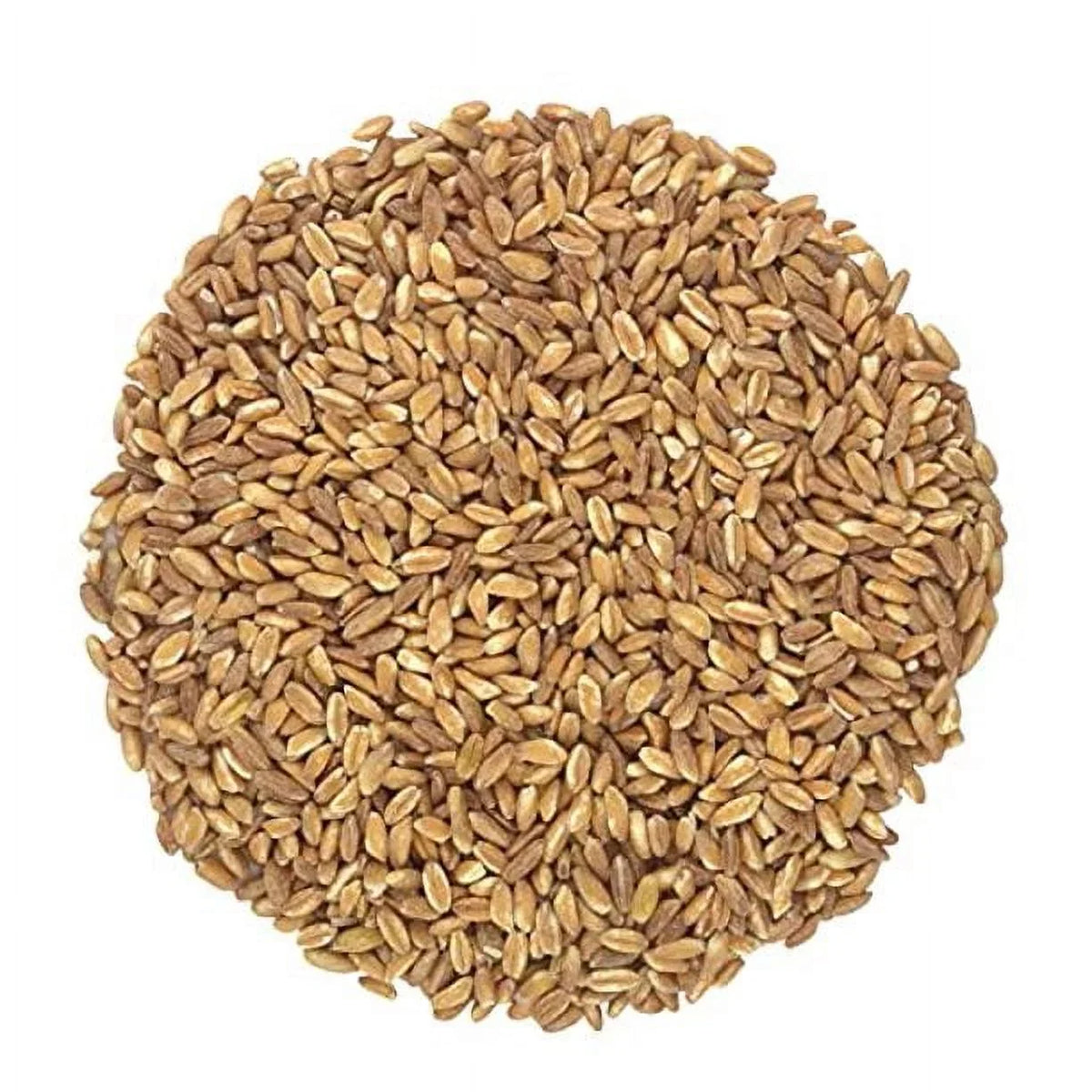 Organic Italian Pearled Farro - Raw, Non-GMO, Vegan, Bulk, Protein, Fiber Rich, Kosher (7LB)