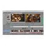 SVDVD13099ESD Vegas Pro 13 (PC)(Digital Code)
