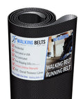GGTL036072 Golds Gym 450 Treadmill Walking Belt