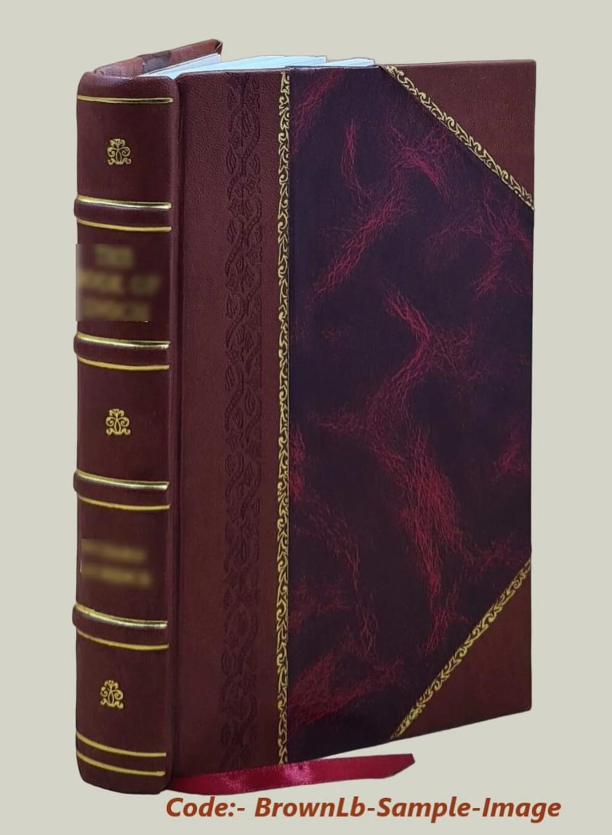 1929 [Leather Bound]. The expression of the emotions in man and animals / by Charles Darwin
