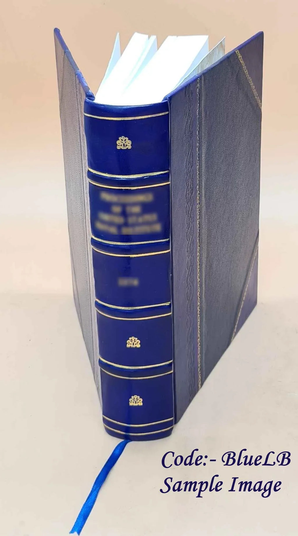 Volume D 1975 [Leather Bound]. D. White River National Forest (N.F.) Marble Winter Sports Site : environmental impact statement