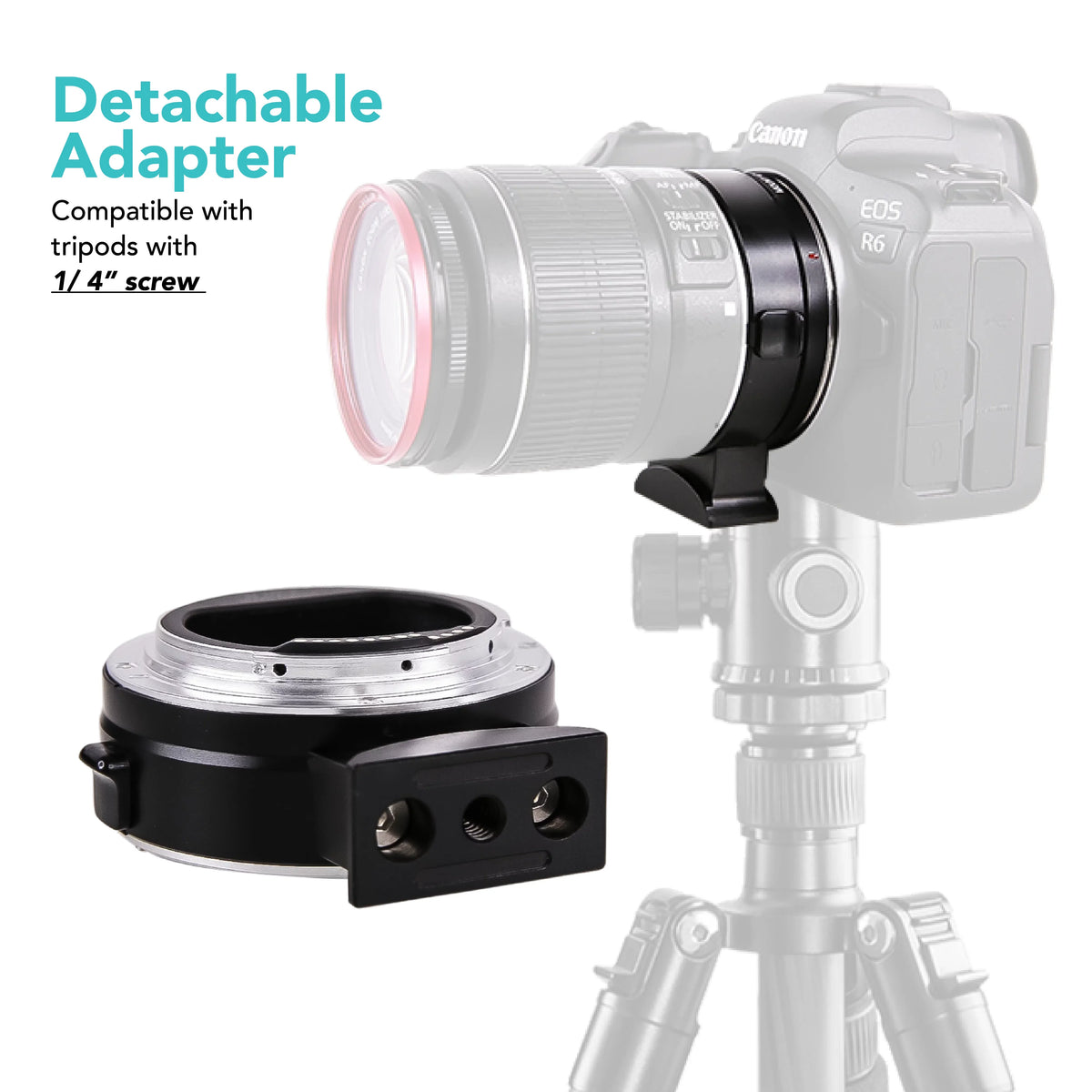 Foto&Tech EF-EOS R Mount Adapter, Auto-Focus Lens Mount Converter appropriate with EF EF-S Lens,  EOS R R5 R6 RP Mirrorless Digital Camera Body and Red Digital Cinema Mount
