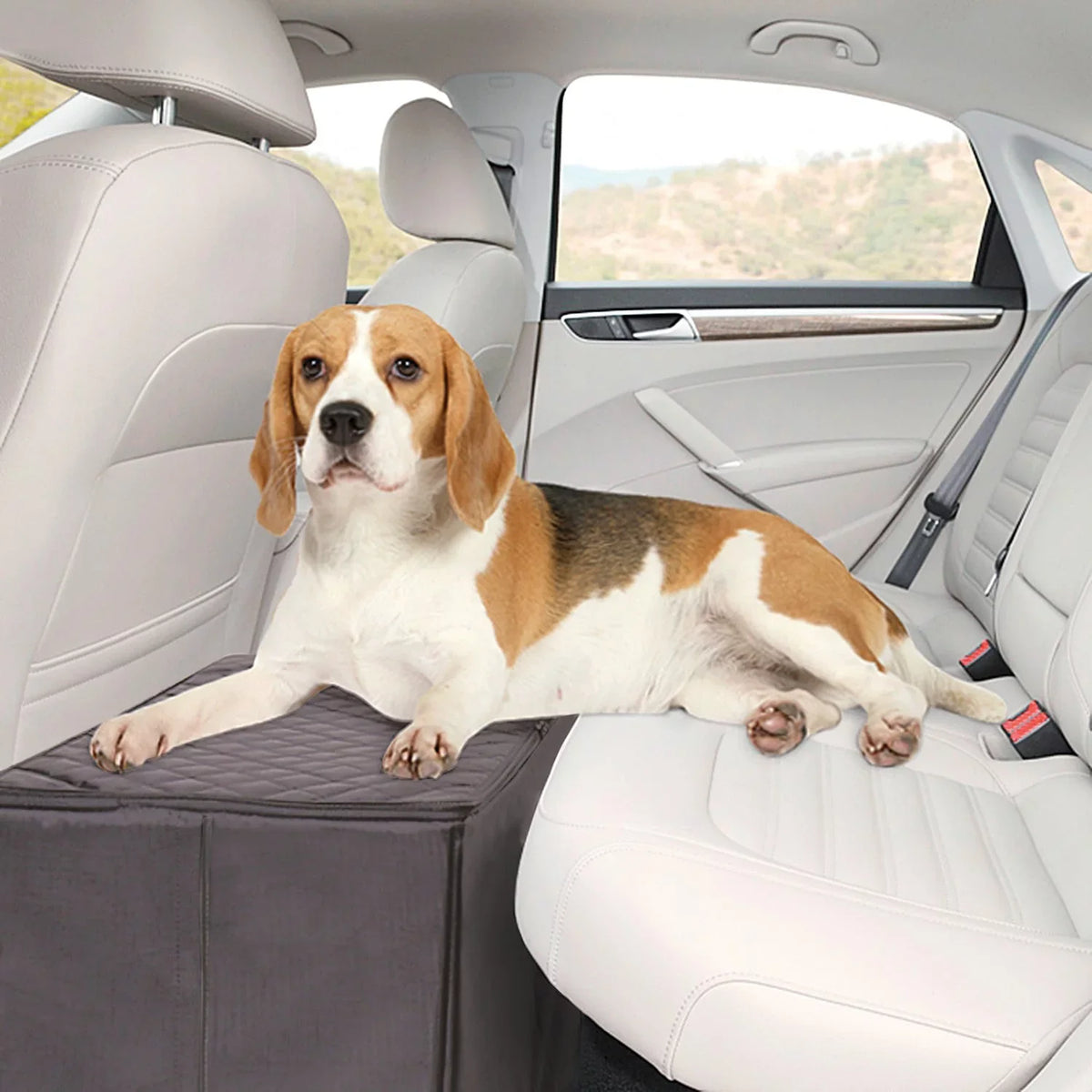 MSR Imports Dog Car Back Seat Extender Safer More Comfortable Back Seat Platform and Storage Black