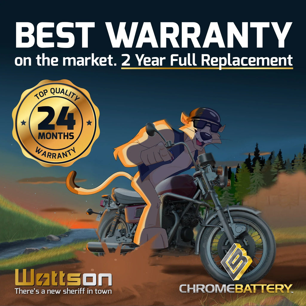 Chrome Battery YTX14AHL-BS (14AHL-BS 12 Volt,12 Ah, 210 CCA) Motorcycle Battery for Suzuki 1100cc Gsx-r1100 1987
