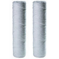 Package Of 6  RS2DS OmniFilter Whole House Replacement moisture Filter Cartridge 2-Pack