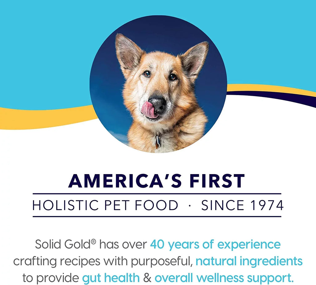 Solid Gold Wet Puppy Food - Made with Real Natural Beef for Puppies - Love at First Bark Grain Free Canned Dog Food for Gut Health, Immune Support and Soft Skin & Coat