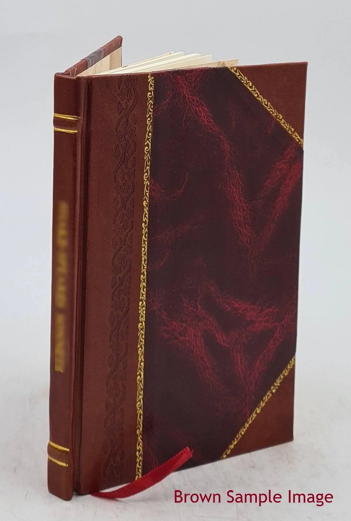 1896 [Leather Bound]. The theory of educational sloyd : the only authorized edition of the lectures of Otto Salomon